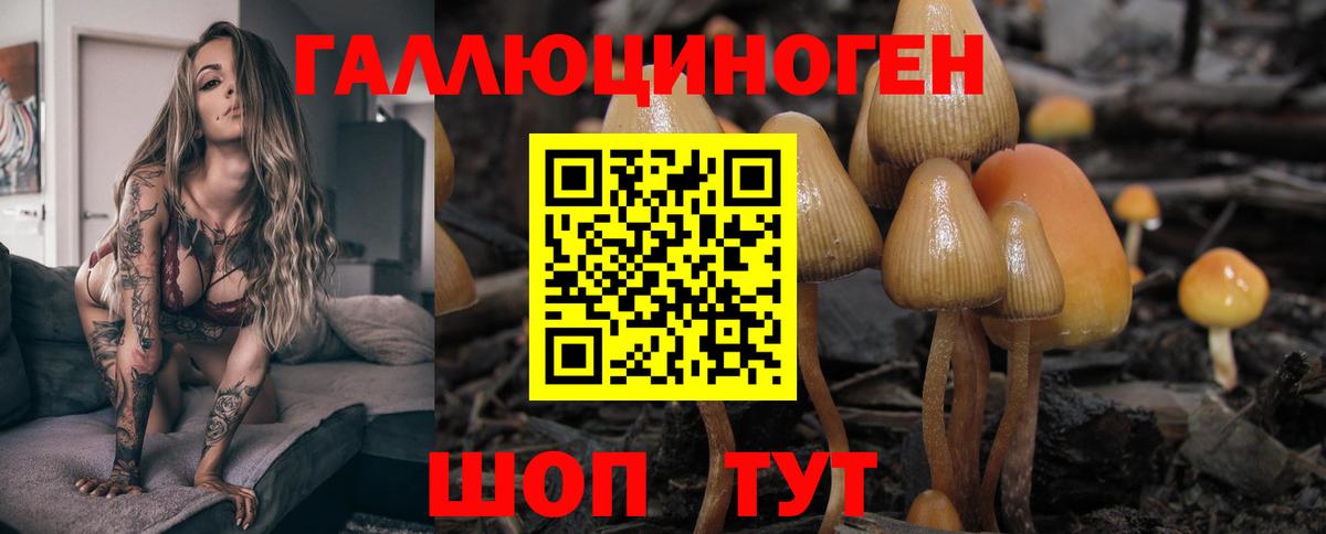 Галлюциногенные грибы MAGIC MUSHROOMS  Вход с VPN  Красноперекопск 